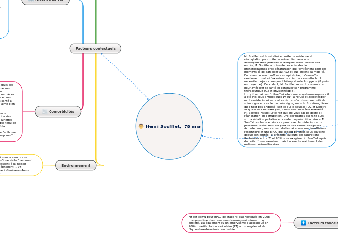 Groupe C - TPE : Situation M. Soufflet - Carte mentale