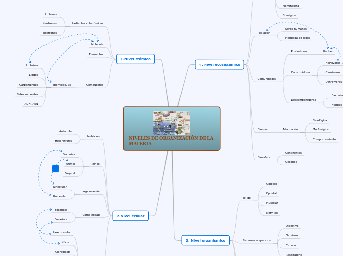 niveles de organizacion de la vida