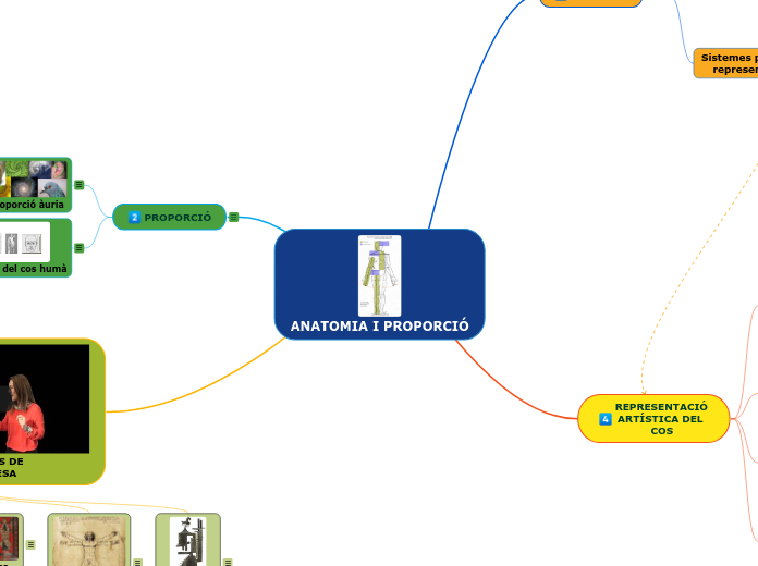 ANATOMIA I PROPORCIÓ