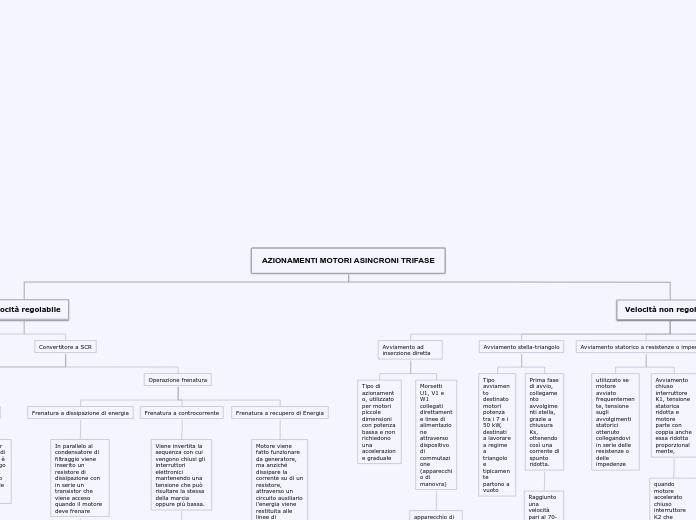 Organigramma