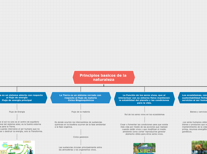 Organigrama