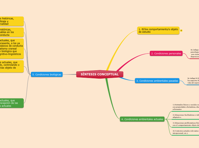 SÍNTESIS CONCEPTUAL