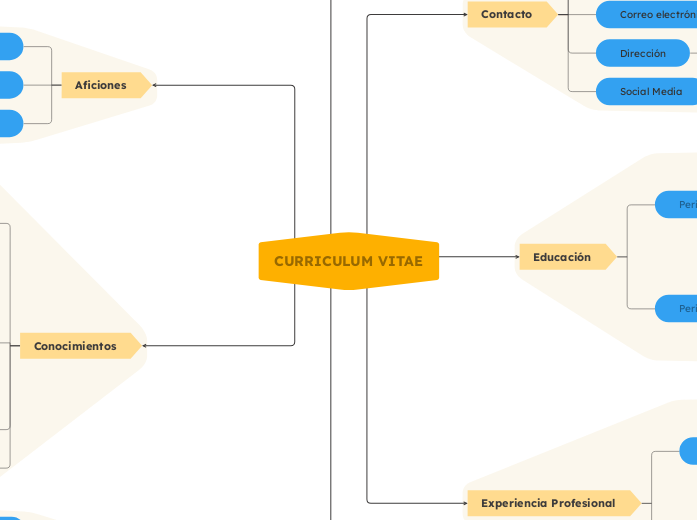 Curriculum Vitae