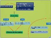 Going to University 
                     ...- Mind Map