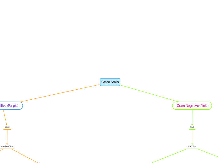 Gram Stain