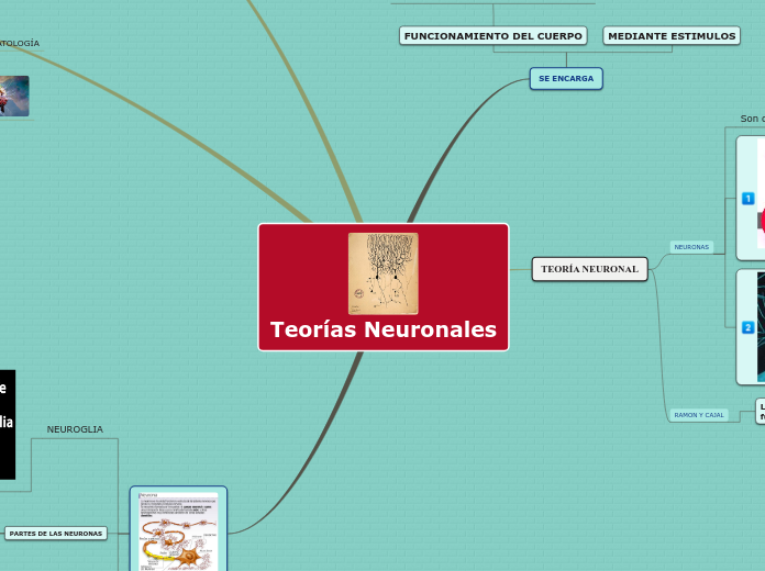 Teorías Neuronales