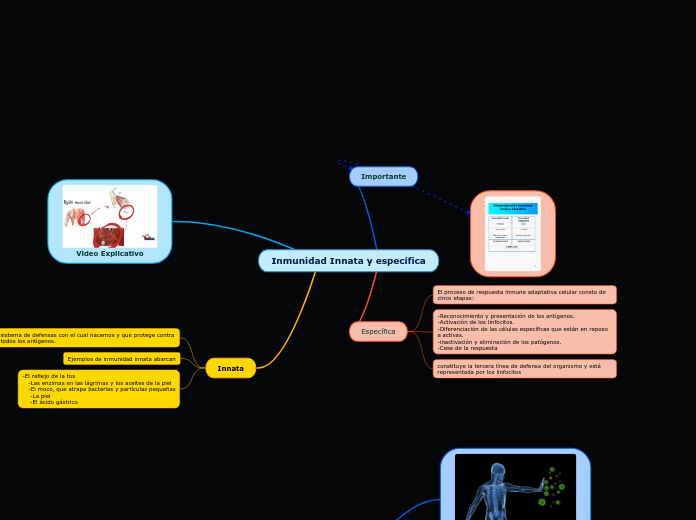 Inmunidad Innata y específica