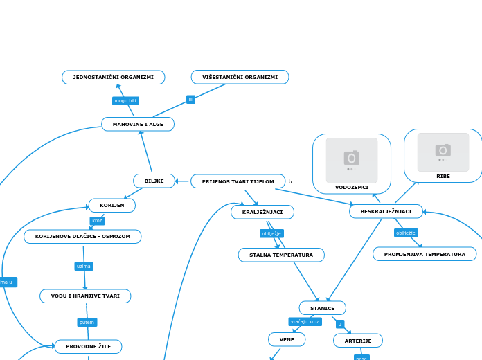 PRIJENOS TVARI TIJELOM - Mind Map