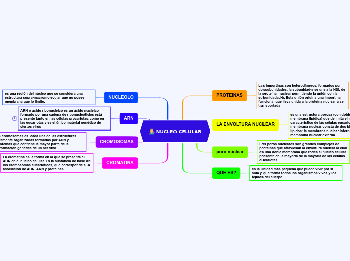 NUCLEO CELULAR