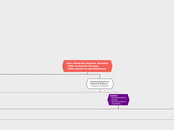 Last Universal Common Ancestor
- DNA as Ge...- Mind Map