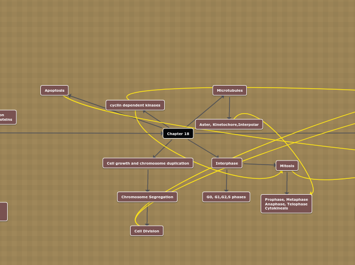 Chapter 18 - Mind Map