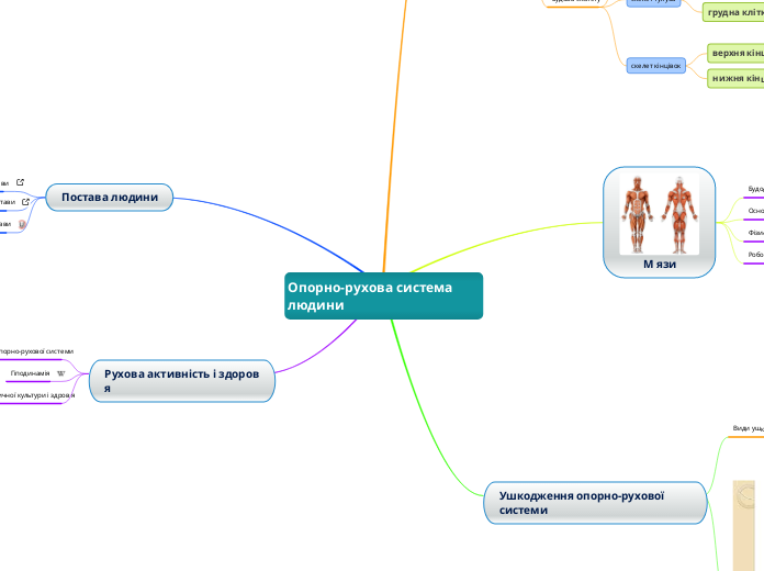 Опорно-рухова система людини - Мыслительная карта