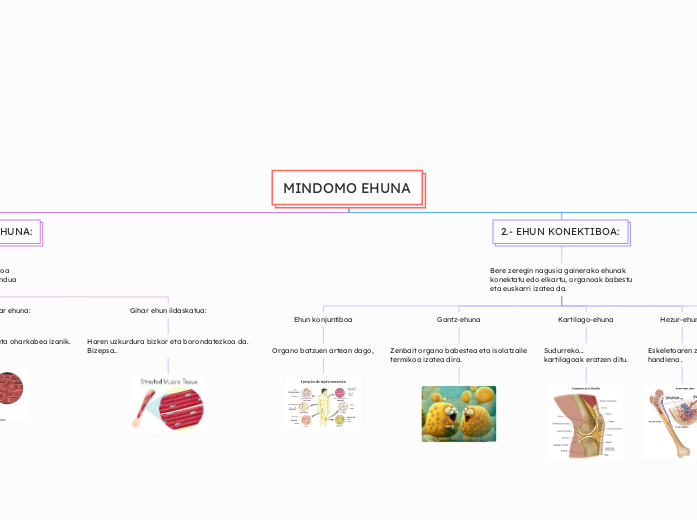 MINDOMO EHUNA - Mind Map