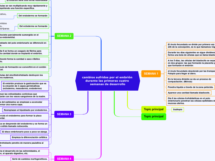cambios sufridos por el embrión durante las primeras cuatro semanas de desarrollo
