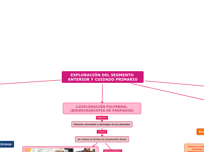 EXPLORACIÓN DEL SEGMENTO ANTERIOR Y CUIDADO PRIMARIO