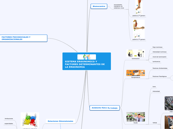 SISTEMA ERGONOMICO Y FACTORES DETERMINA...- Mapa Mental