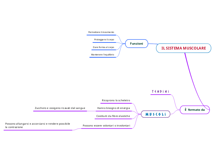 IL SISTEMA MUSCOLARE