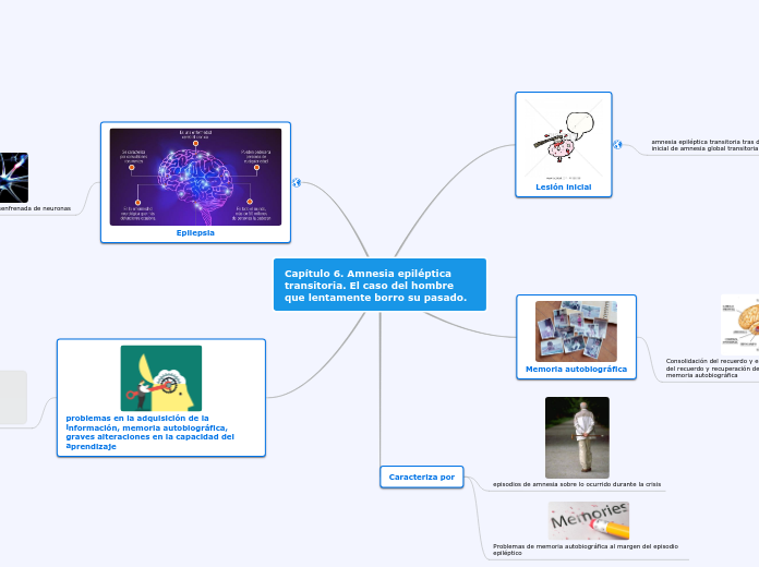Capítulo 6. Amnesia epiléptica transitoria. El caso del hombre que lentamente borro su pasado.