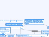 ONTOEPISTEMOLOGIA DE LOS MODELOS DE ENS...- Mapa Mental