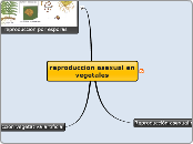 reproduccion asexual en vegetales - Mapa Mental