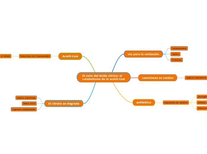 El ciclo del ácido cítrico: el catabolismo de la acetil-CoA