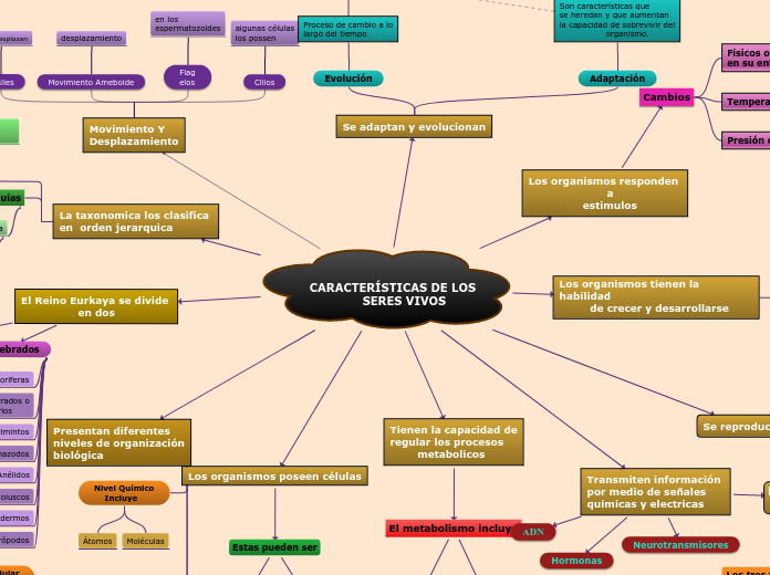 CARACTERÍSTICAS DE LOS
              SERES VIVOS