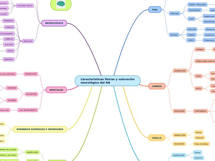 Características físicas y valoración neurológica del RN