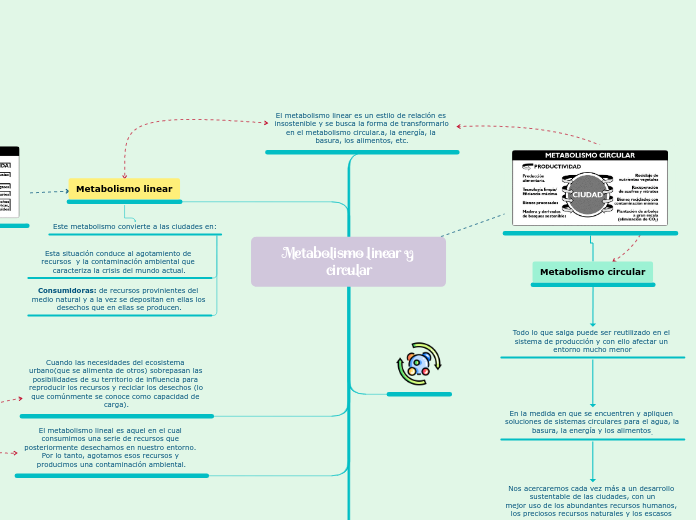 Metabolismo linear y circular