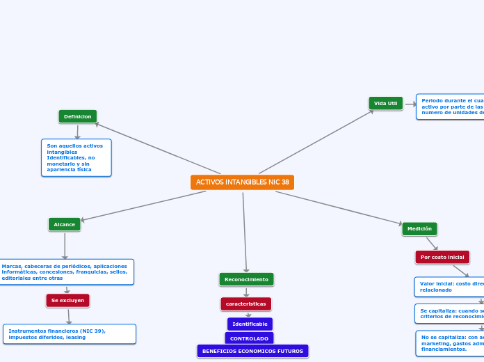 ACTIVOS INTANGIBLES NIC 38