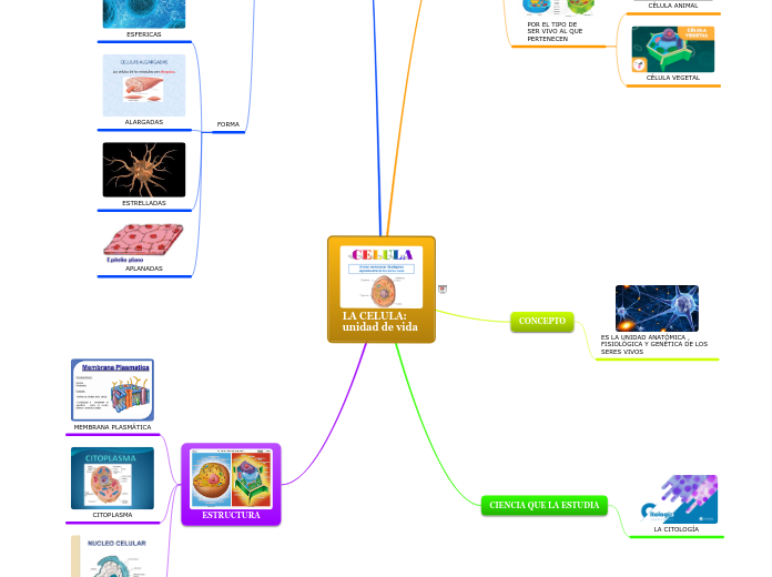 LA CELULA: unidad de vida
