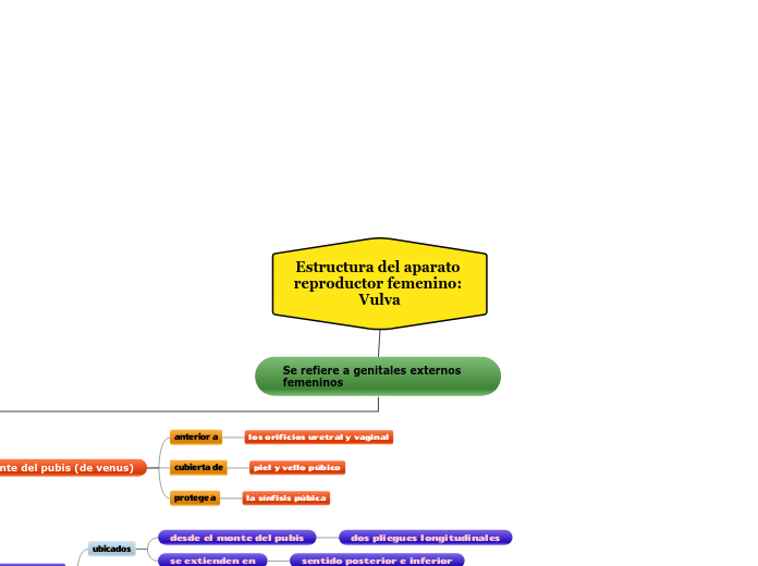 Estructura del aparato reproductor femenino: Vulva