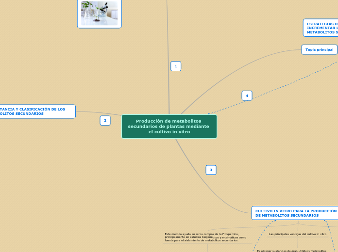 Producción de metabolitos secundarios d...- Mapa Mental