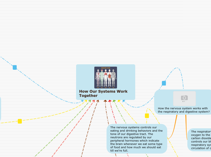 How Our Systems Work              Together