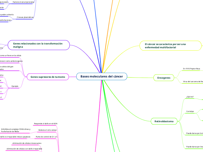 Bases moleculares del càncer