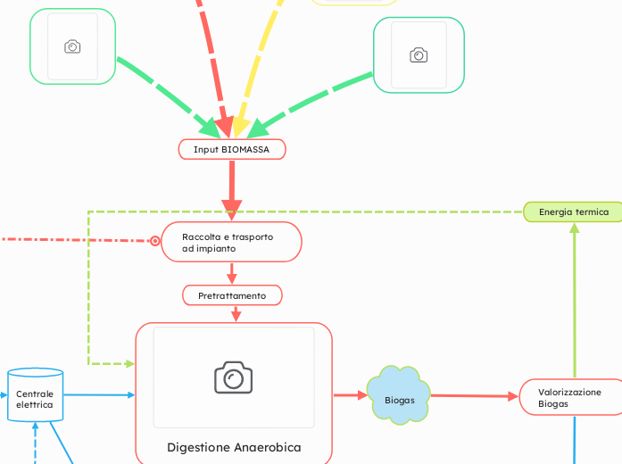 Input BIOMASSA - Mappa Mentale