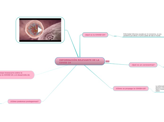 INFORMACIÓN RELEVANTE DE LA         COVID 19