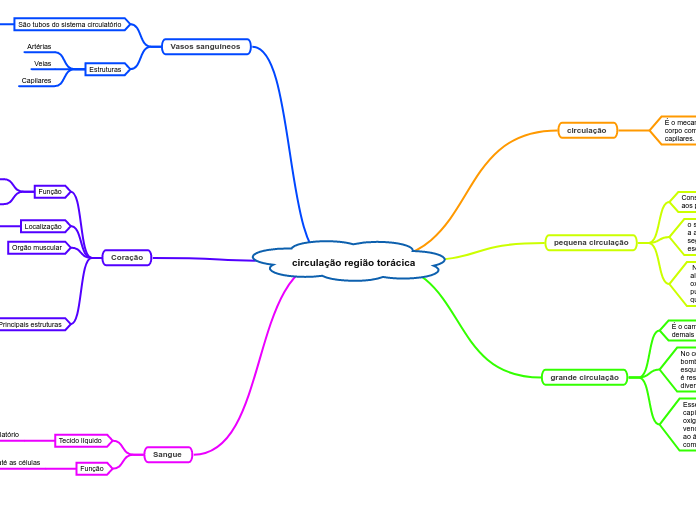 circulação região torácica