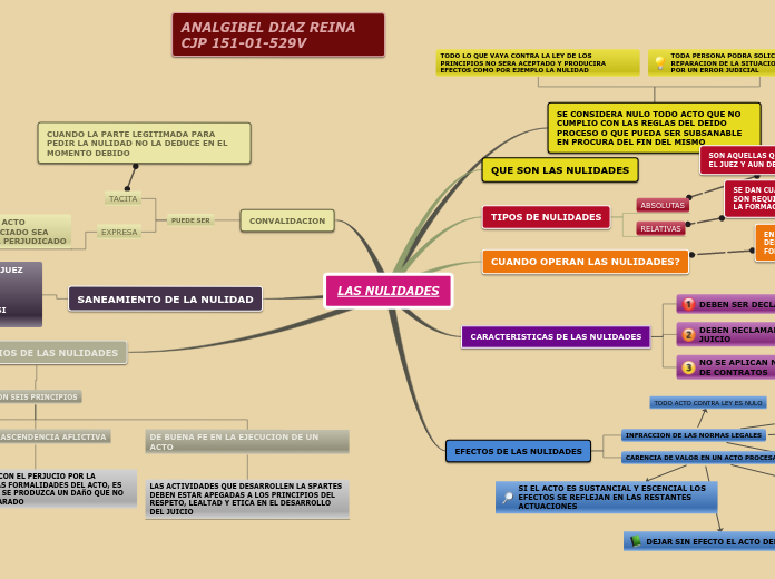 LAS NULIDADES - Mapa Mental