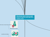 PROGRAMA NACIONAL SEGURIDAD DEL PACIENT...- Mapa Mental