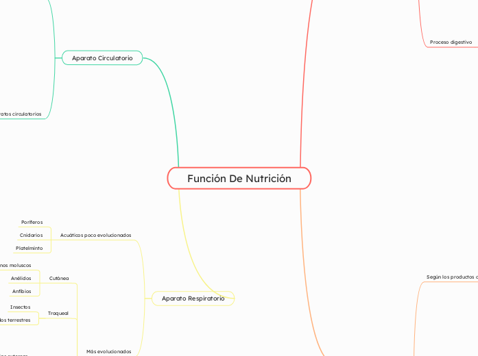 Función De Nutrición - Mapa Mental