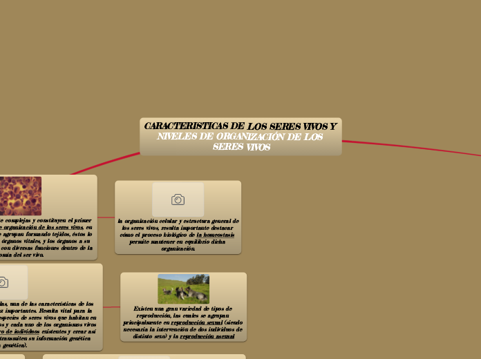 CARACTERISTICAS DE LOS SERES VIVOS Y NI...- Mapa Mental