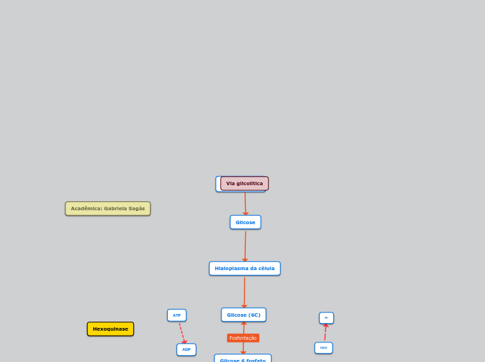 Via glicolitica - Mapa Mental