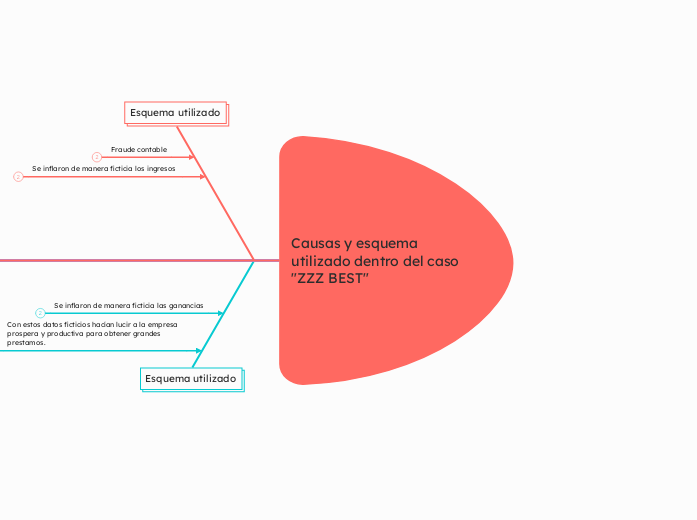 Causas y esquema utilizado dentro del caso 