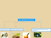 классификация растений - Мыслительная карта