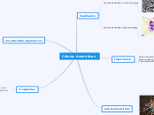 Células dendríticas - Mapa Mental