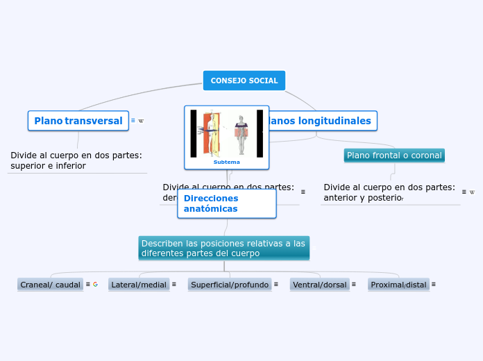 CONSEJO SOCIAL - Mapa Mental