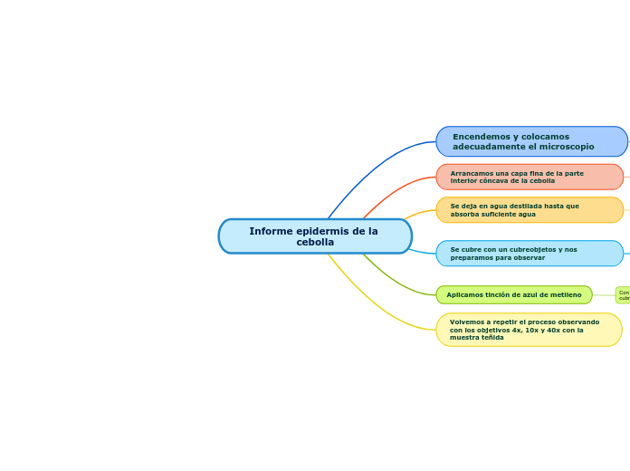 Informe epidermis de la cebolla