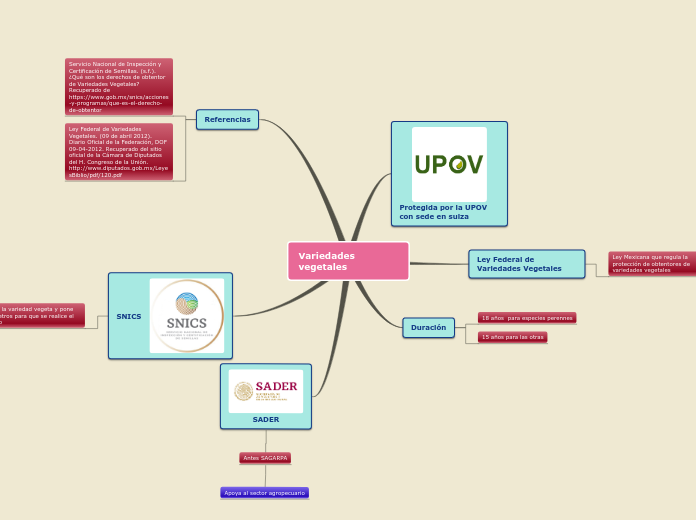 Sample Mind Map