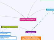 Escuela de necesidades - Mapa Mental