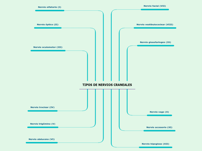 TIPOS DE NERVIOS CRANEALES